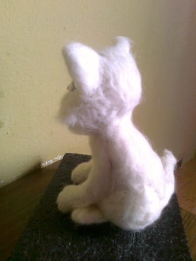 Szaleństwo z wełnianymi kotami