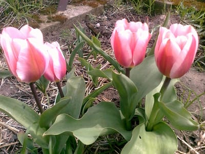 Zimno na dworze, ciepło na blogu :)