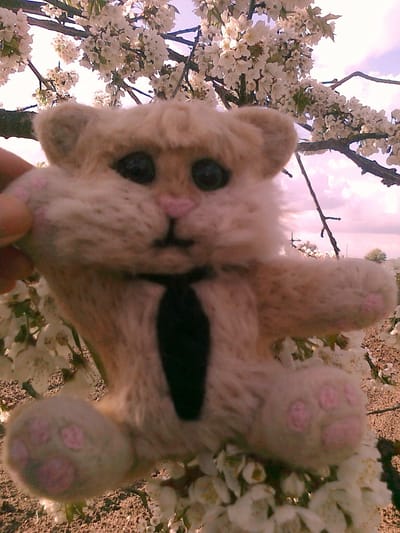 Wełniany kotek-elegant