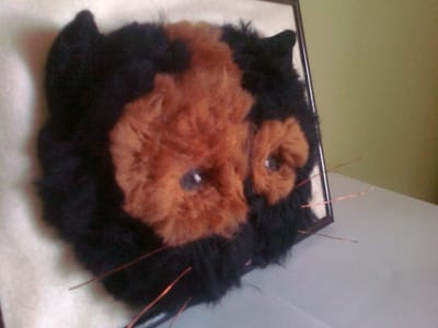 Portrety zwierząt 3 D