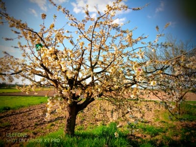 Wiosna, czyli co ja robię tu...
