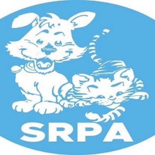 SRPA de Liège