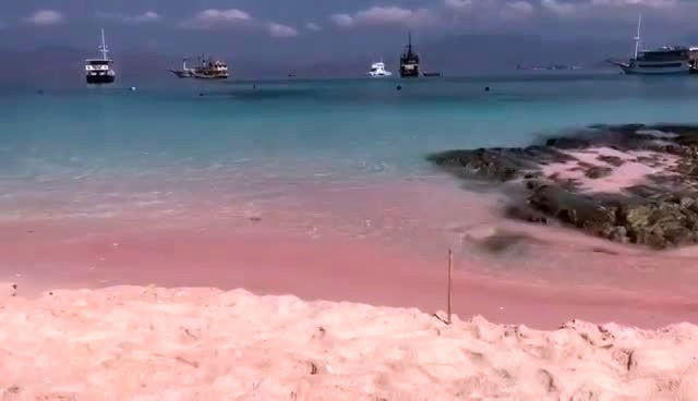 Pantai Merah, Pink Beach