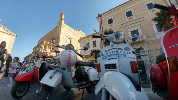 Invasione di Vespe a Favara
