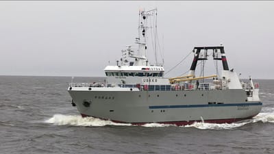 В Архангельске создадут технопарк для ремонта и обслуживания рыбопромысловых судов