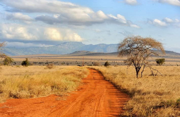 Words on Africa