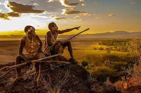 Words on Africa