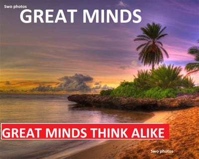 About swoness photos image