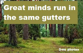 About swoness photos image