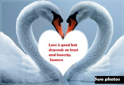 FIND OUT SOMETHING ABOUT Swoness photos image