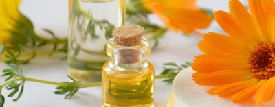 We are constantly adding to our Fragrances image
