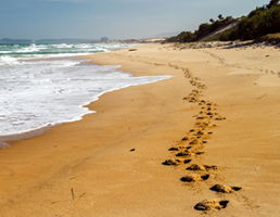 האם אימון מתאים לי?