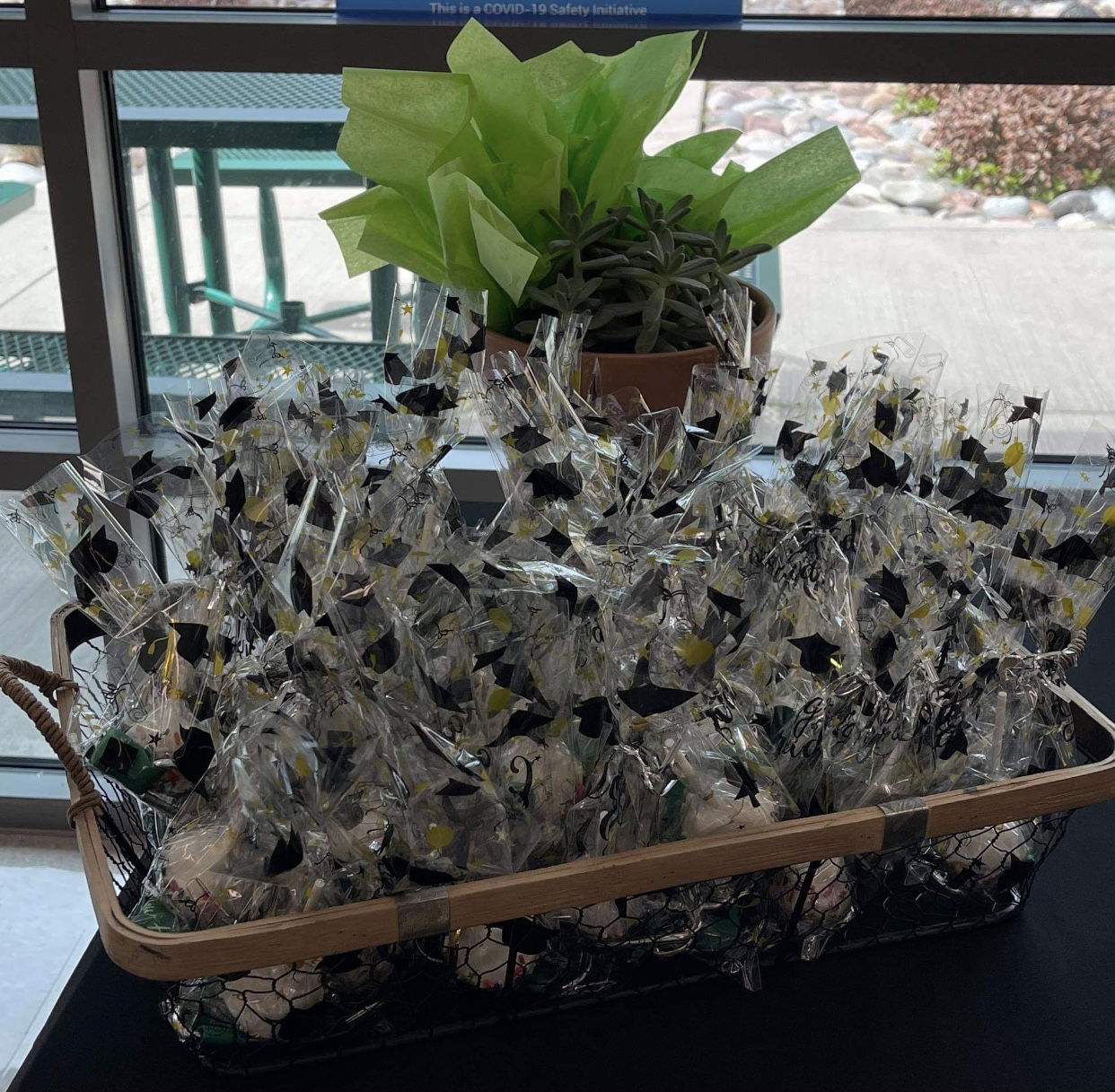 Graduation Cake Pops