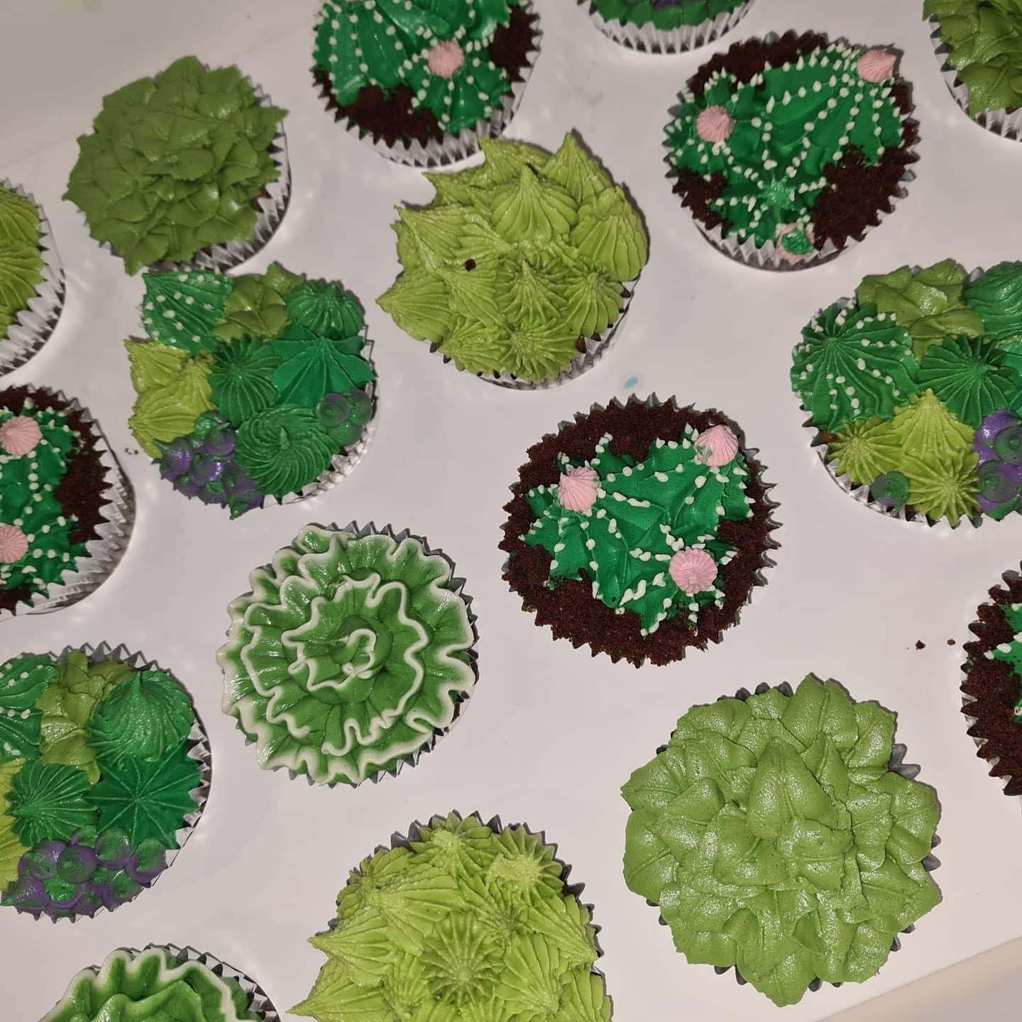 Chocolate Succulent Cupcakes