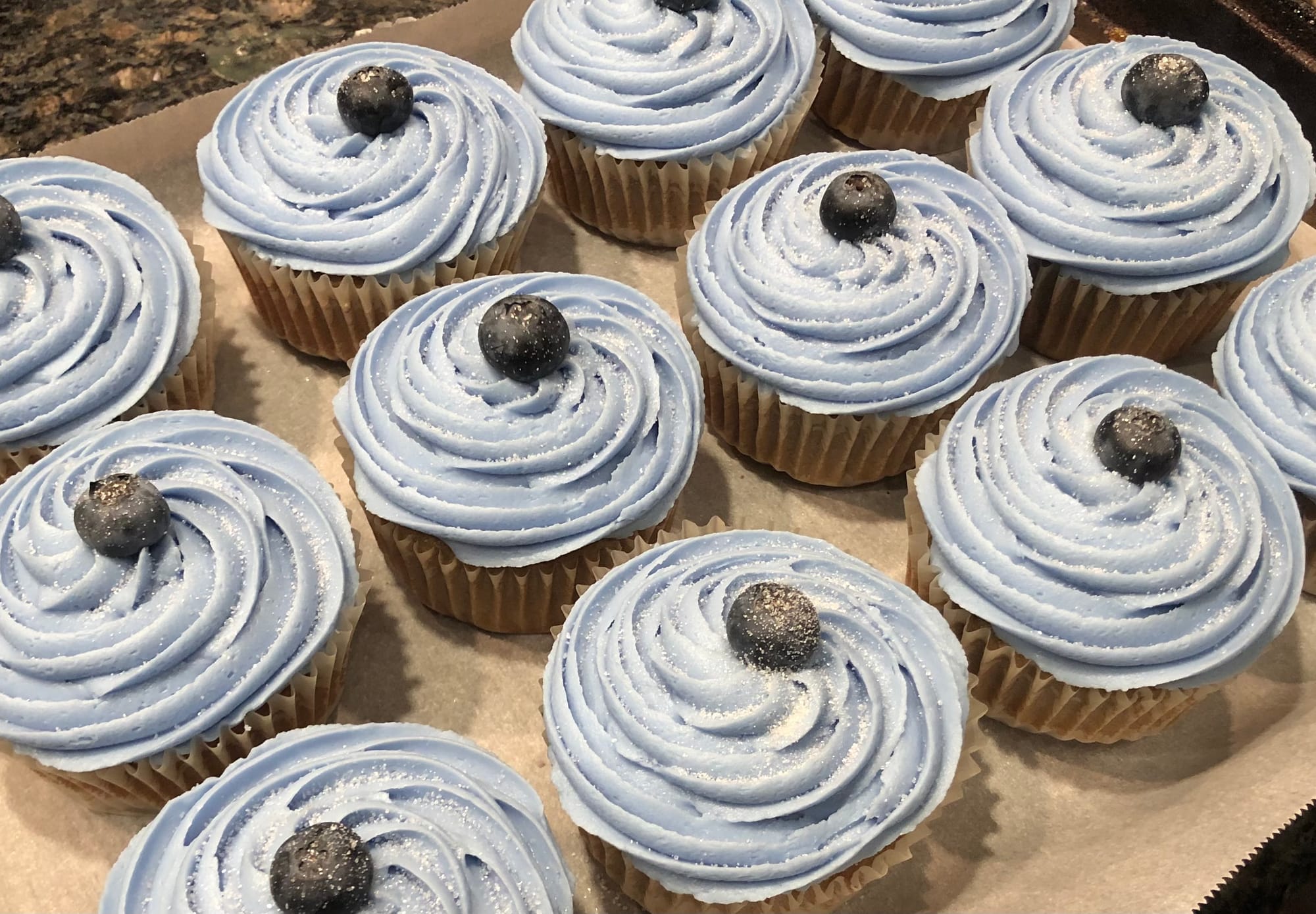 Blueberry Cupcakes