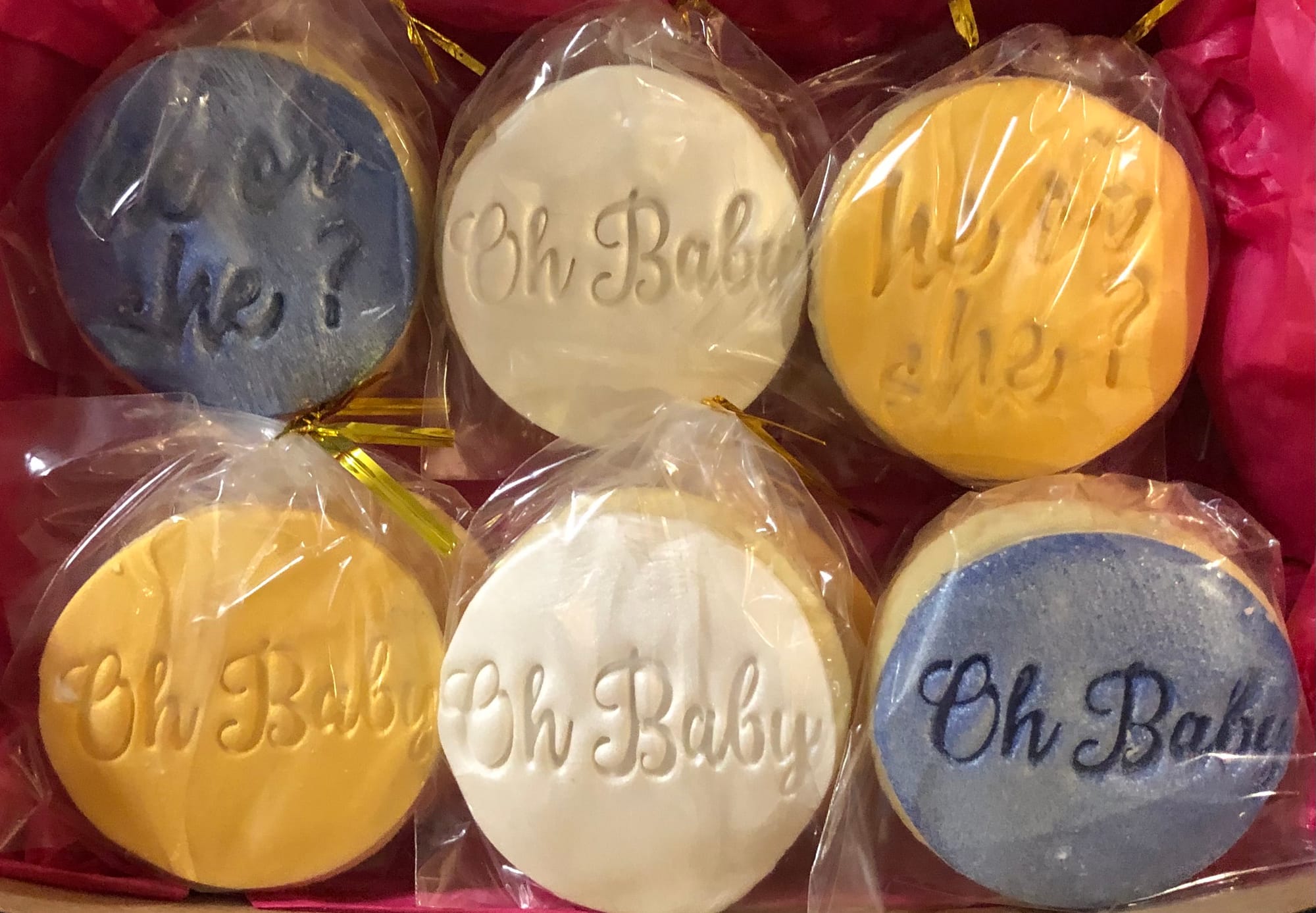 Gender Reveal Sugar Cookies With Fondant