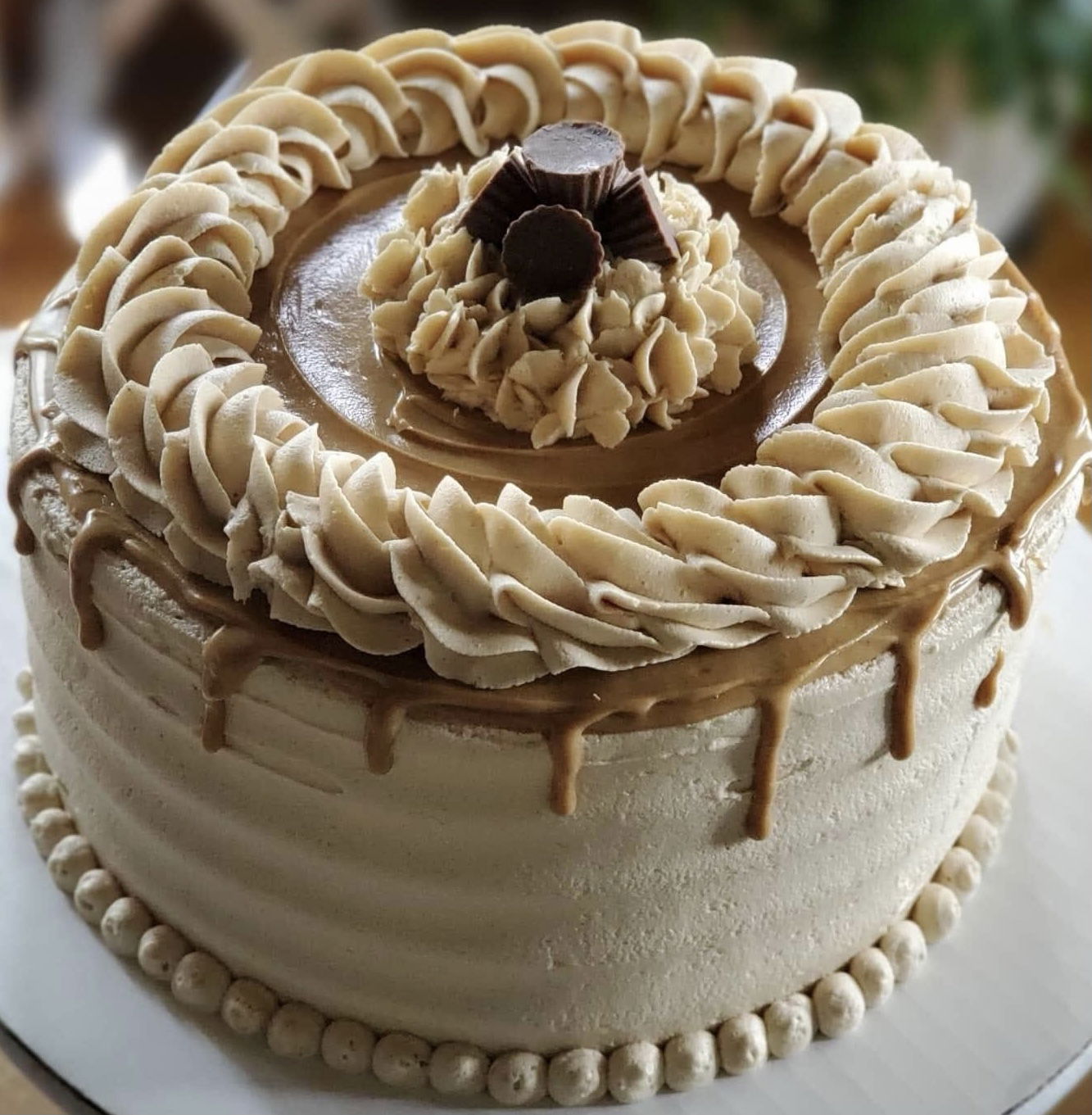 2 Layer Peanut Butter and Chocolate Cake With Buttercream Frosting