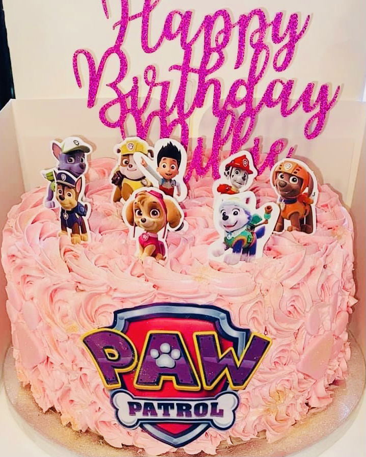 2 Layer Funfetti Paw Patrol Cake With Buttercream Frosting
