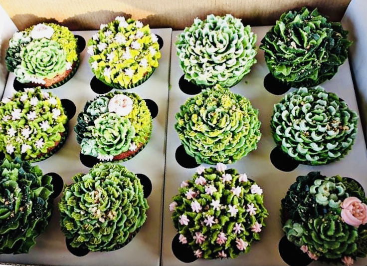 Vanilla and Chocolate Succulent and Flower Cupcakes With Buttercream Frosting