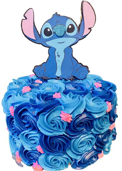2 Layer Vanilla and Chocolate Stitch Cake with Buttercream Frosting