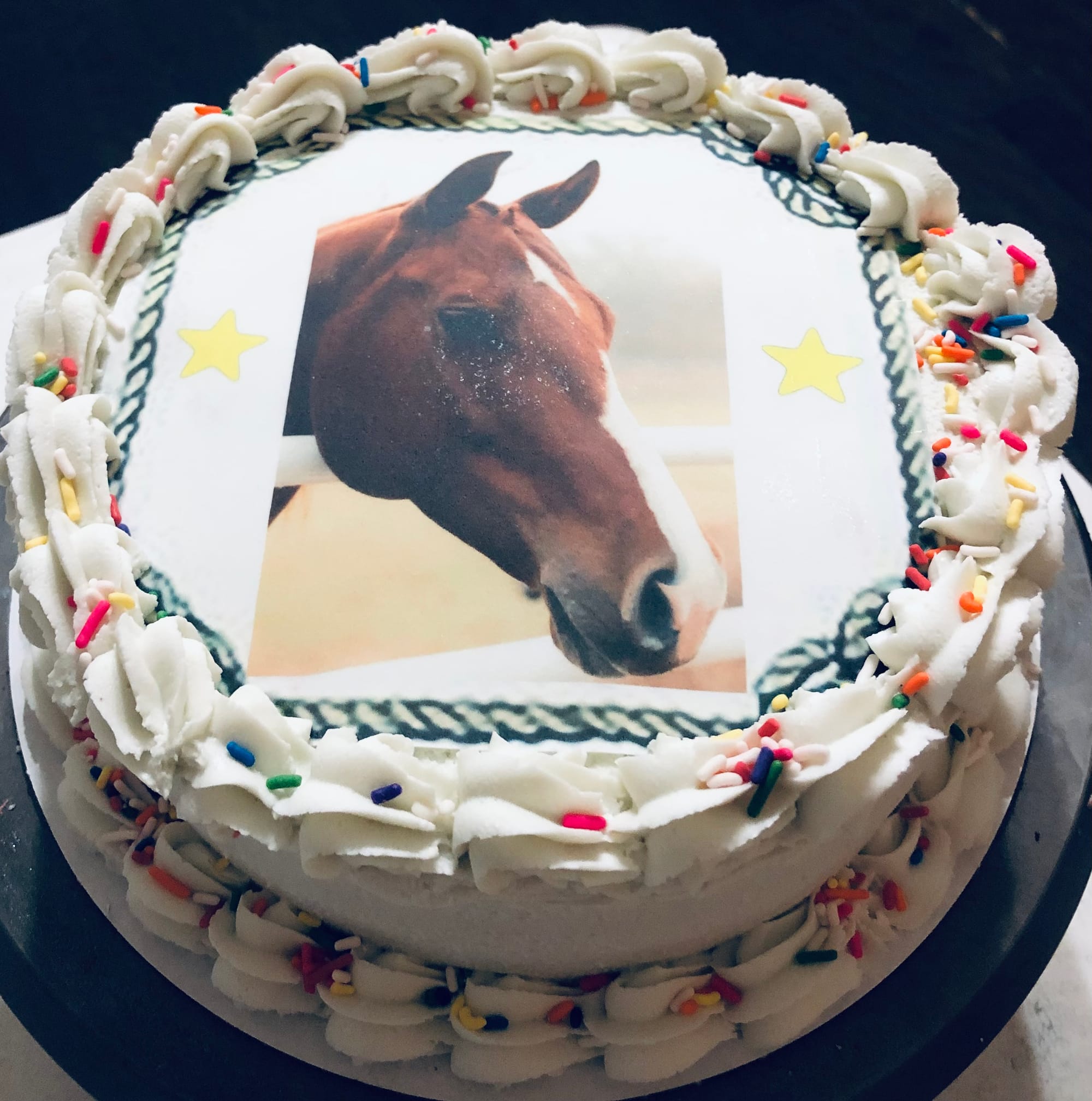 2 Layer Chocolate Horse Ranch Cake with Buttercream Frosting and Edible Image