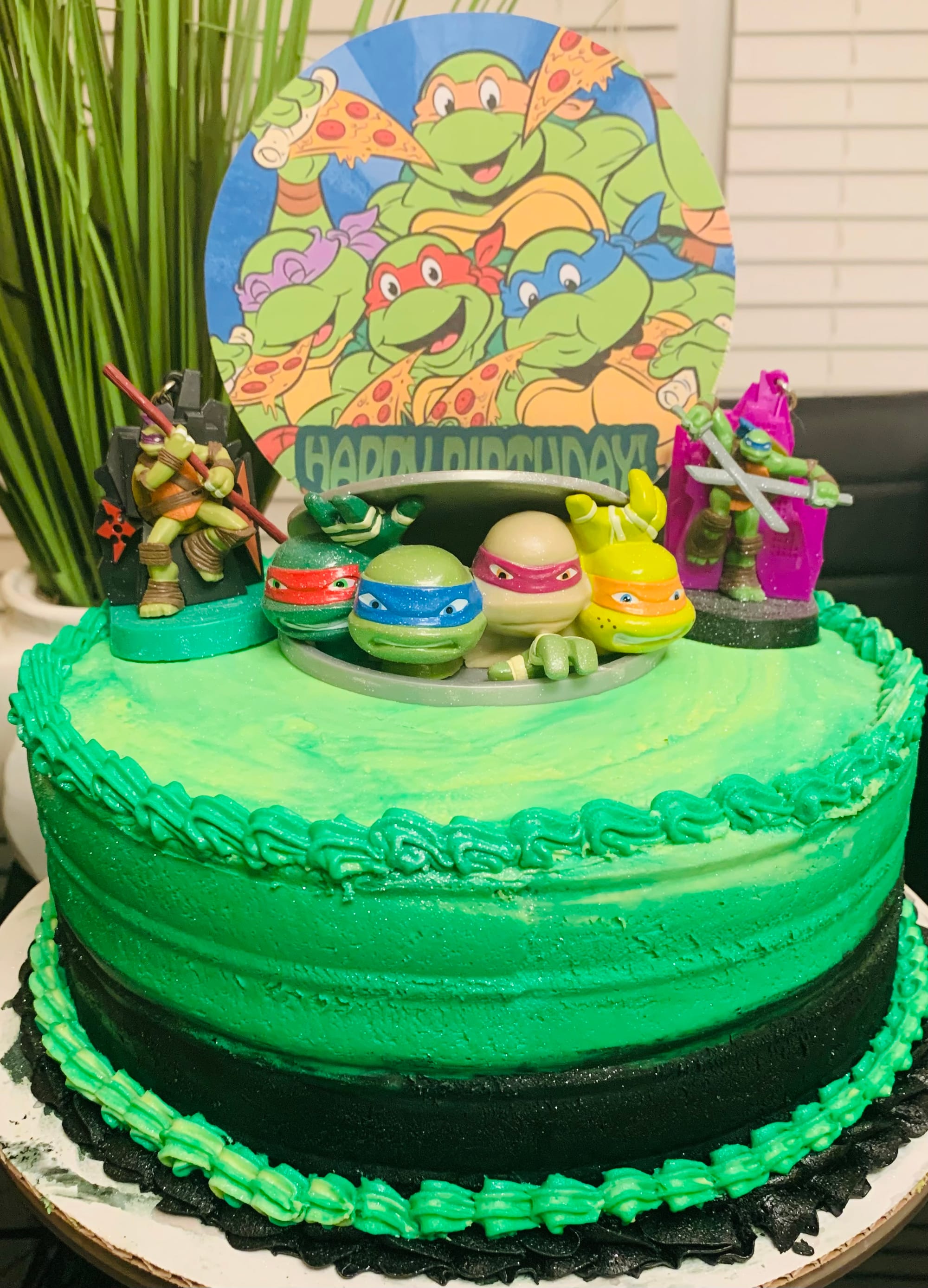 2 Layer Vanilla Teenage Mutant Ninja Turtles Cake with Buttercream Frosting