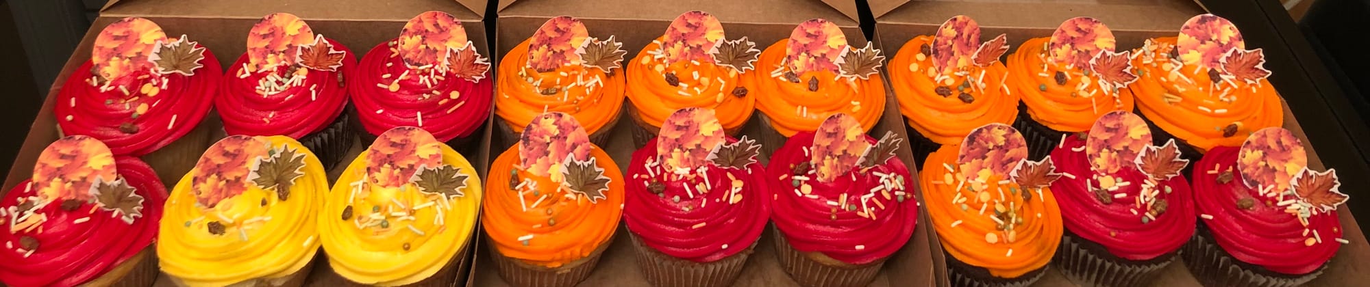 Chocolate and Vanilla Fall Leaf Cupcakes with Buttercream Frosting