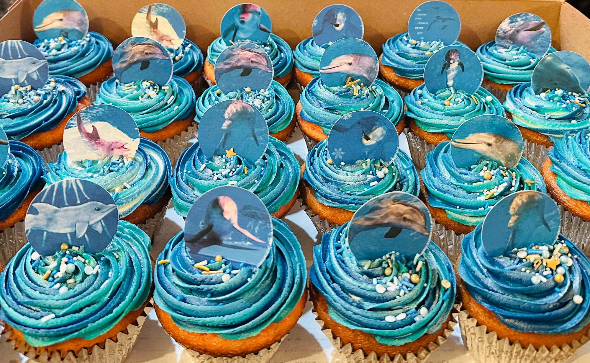 Strawberry Winter The Dolphin Cupcakes with Buttercream Frosting