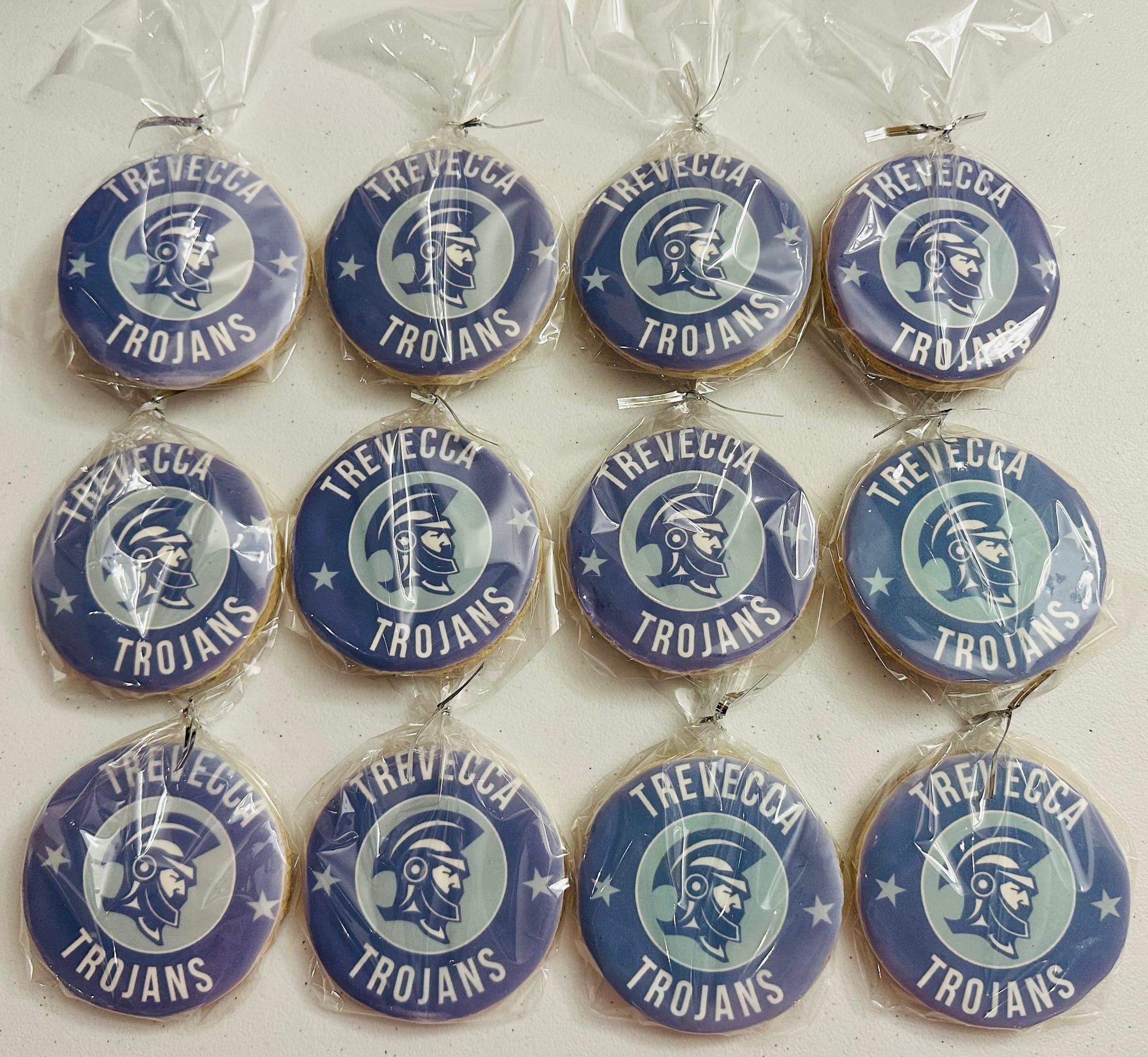 Trevecca Logo Large Round Royal Icing Sugar Cookies with Image