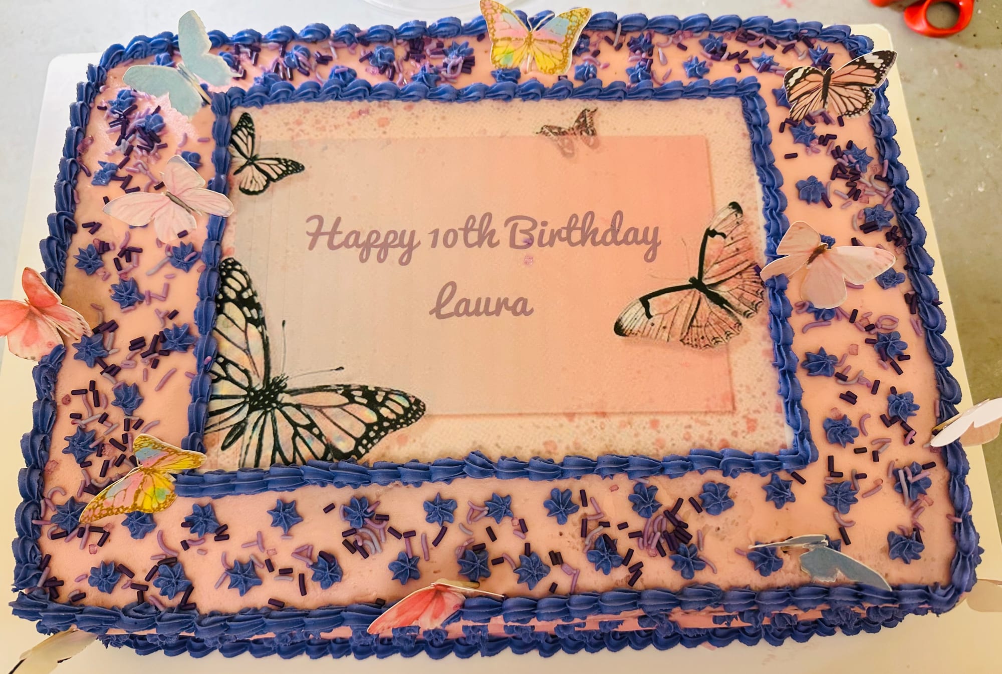 Vanilla Butterfly Sheet Cake with Buttercream Frosting and Edible Image