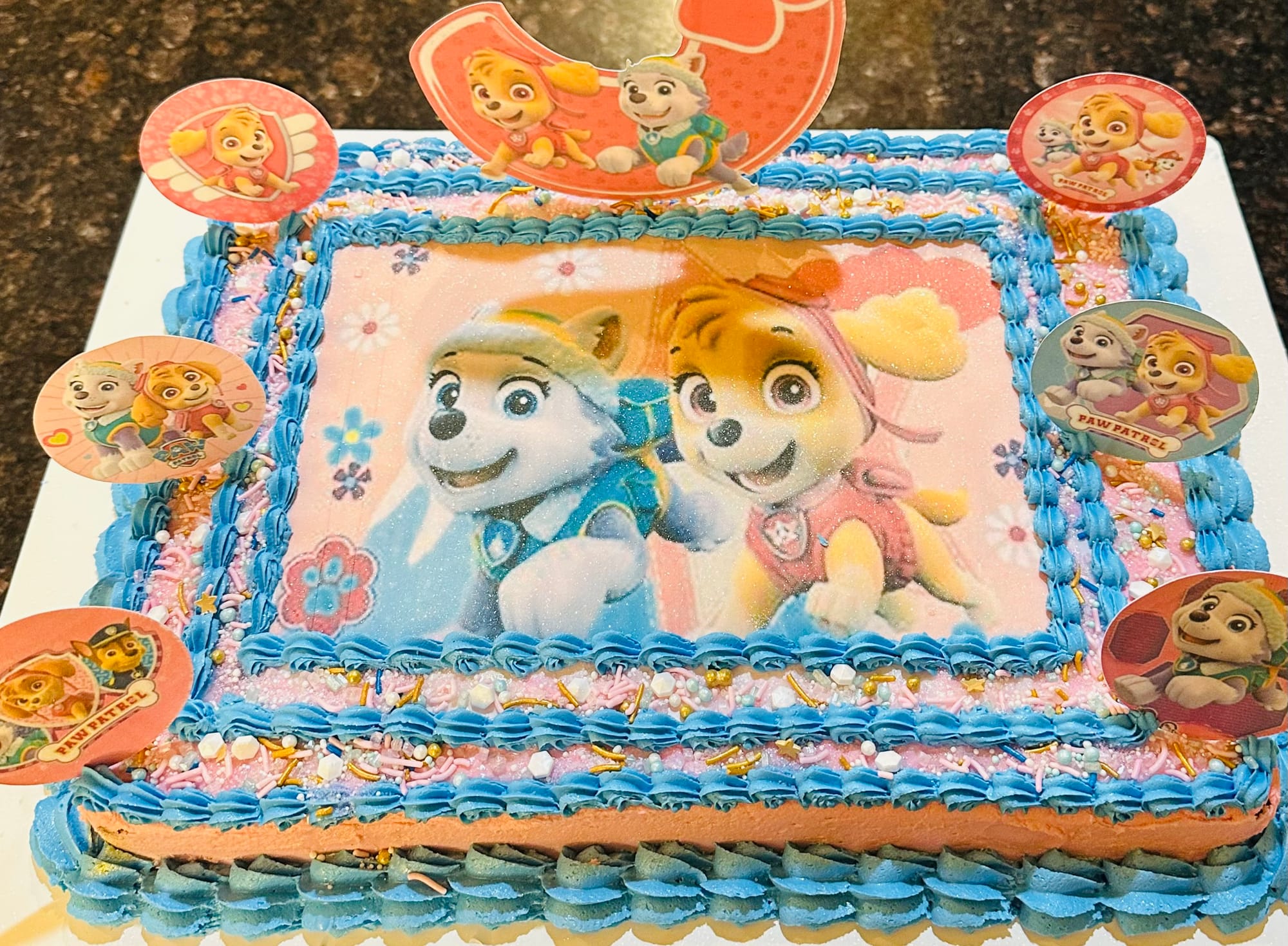 Oreo Paw Patrol Sheet Cake with Buttercream Frosting and Edible Image