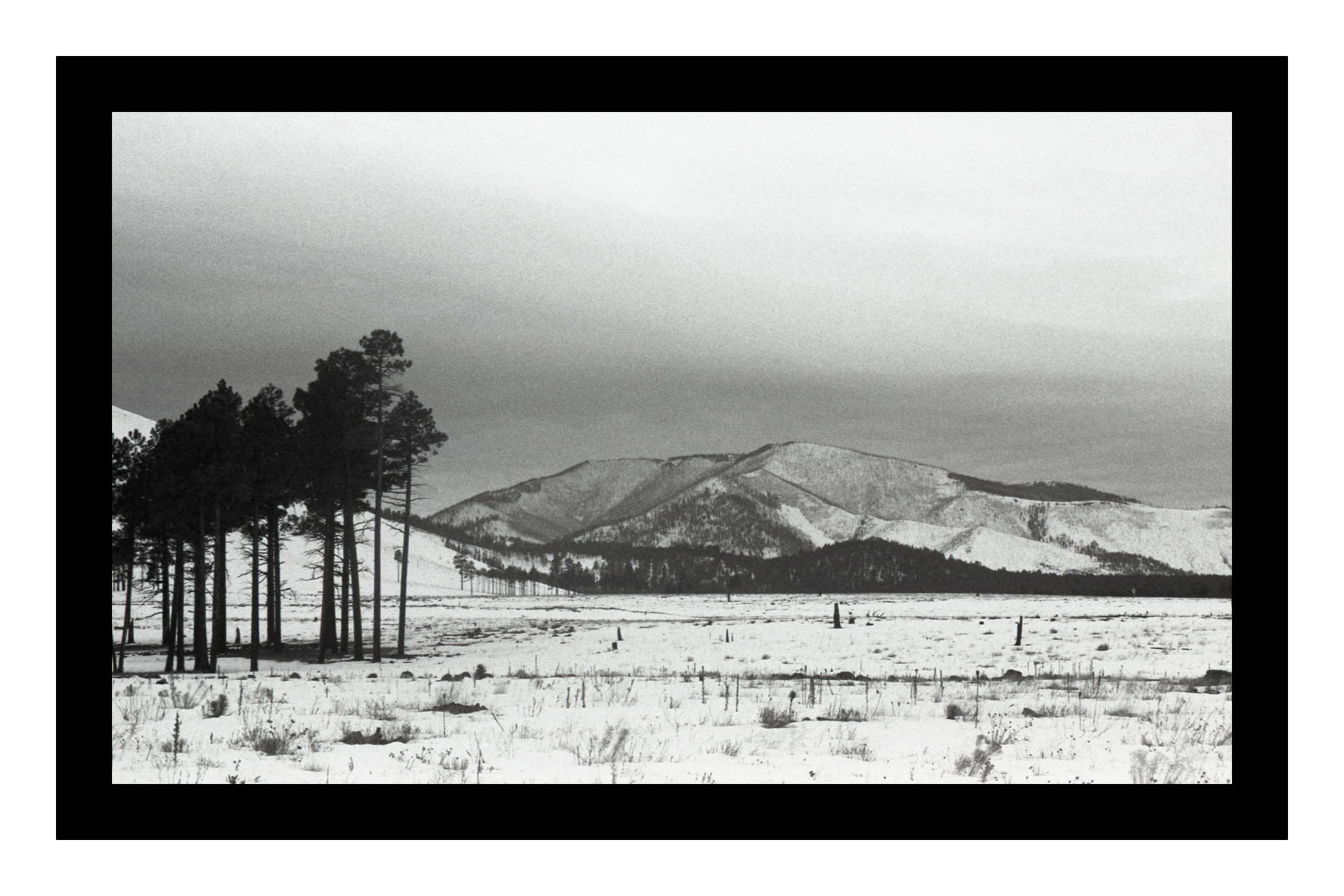 “ Teokʷāitepētl (Sacred Peaks) Flagstaff, Arizona “ by Rosy Campanita