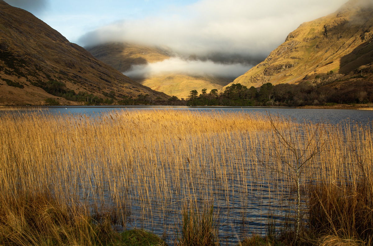 Fin Lough, Connemara