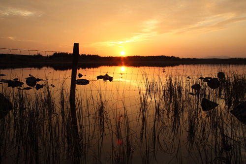 Local photography and COVID-19  🦠