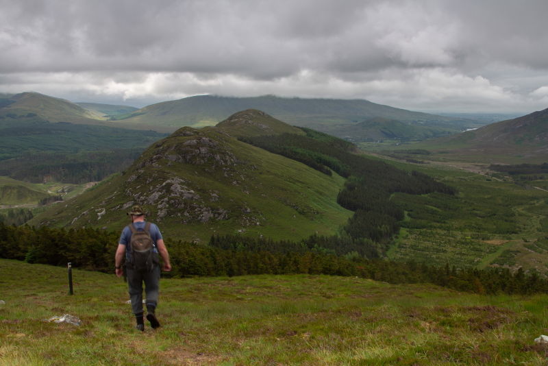 Letterkeen Loop Walk and the “Wild Nephin” experiment.  🌿🌲