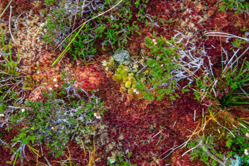 The Partry Mountains, a fantastic view and a surprise find of an unique Waterfall.  💦