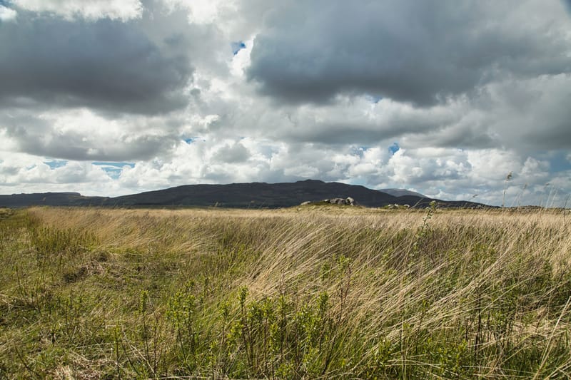The Farbreiga, the False Man of Shanvoley !  🏞