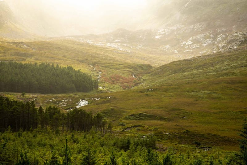 Lough Inagh forest trail, a hidden gem of a landscape.  🏞️💎