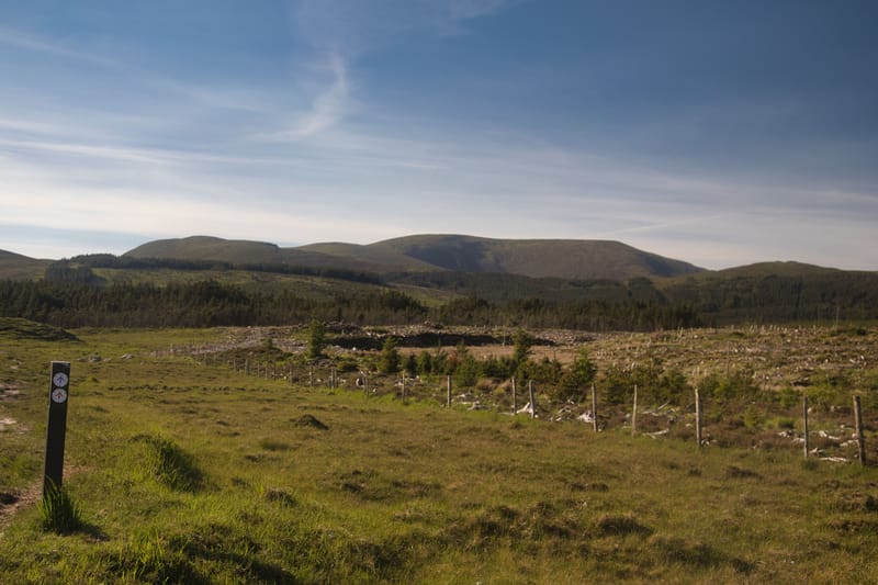 Nephin Beg Wild Nature vs. Renewable Energy Technology 🦅⚡️ Rambling