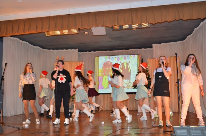 НОВОГОДНЕЕ ШОУ 2020 г.