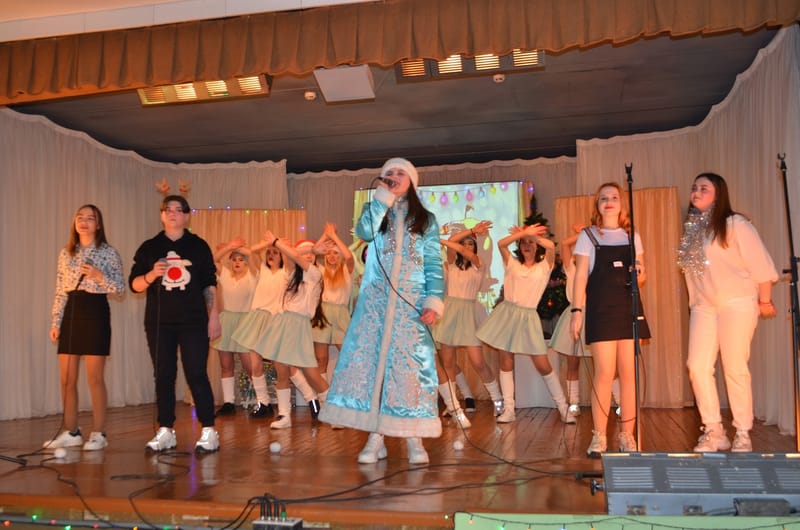 НОВОГОДНЕЕ ШОУ 2020 г.