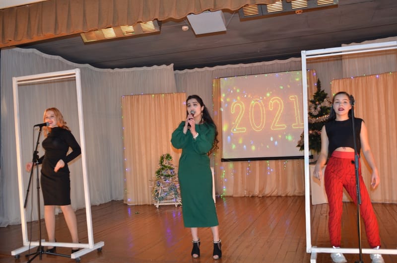 НОВОГОДНЕЕ ШОУ 2020 г.