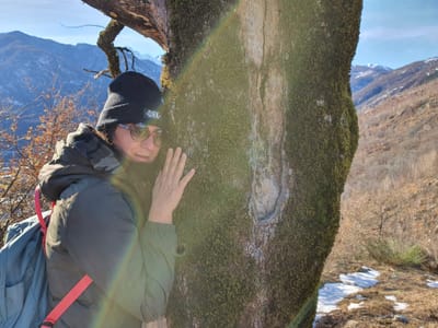 Per vedere altri video iscriviti al mio canale Youtube qui sotto image