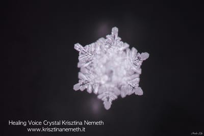 Krisztina NemETH e Masaru Emoto image