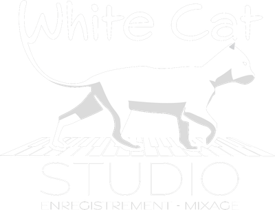 White Cat Studio