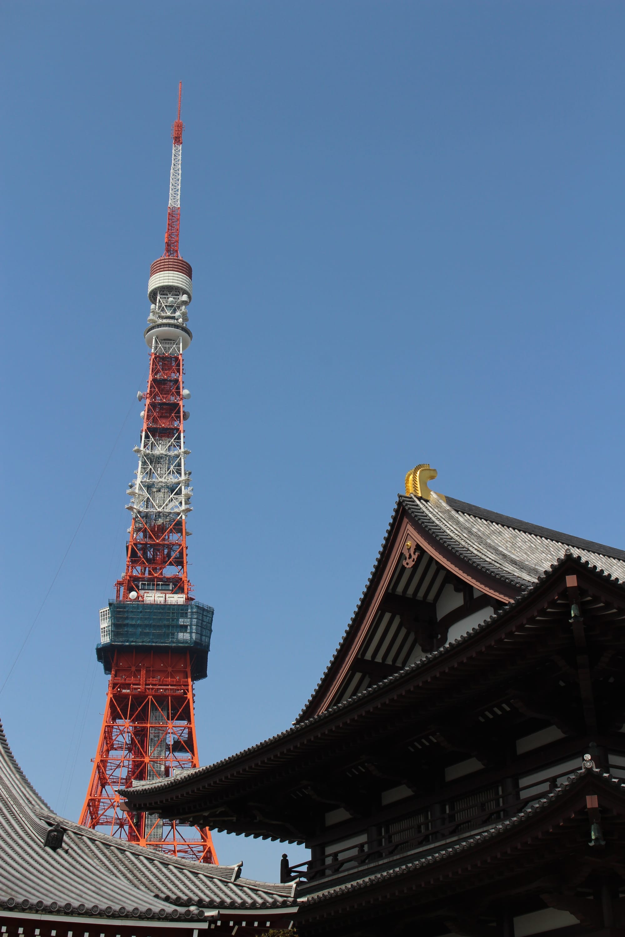 Tokyo Tower i świątynia Zojo-ji