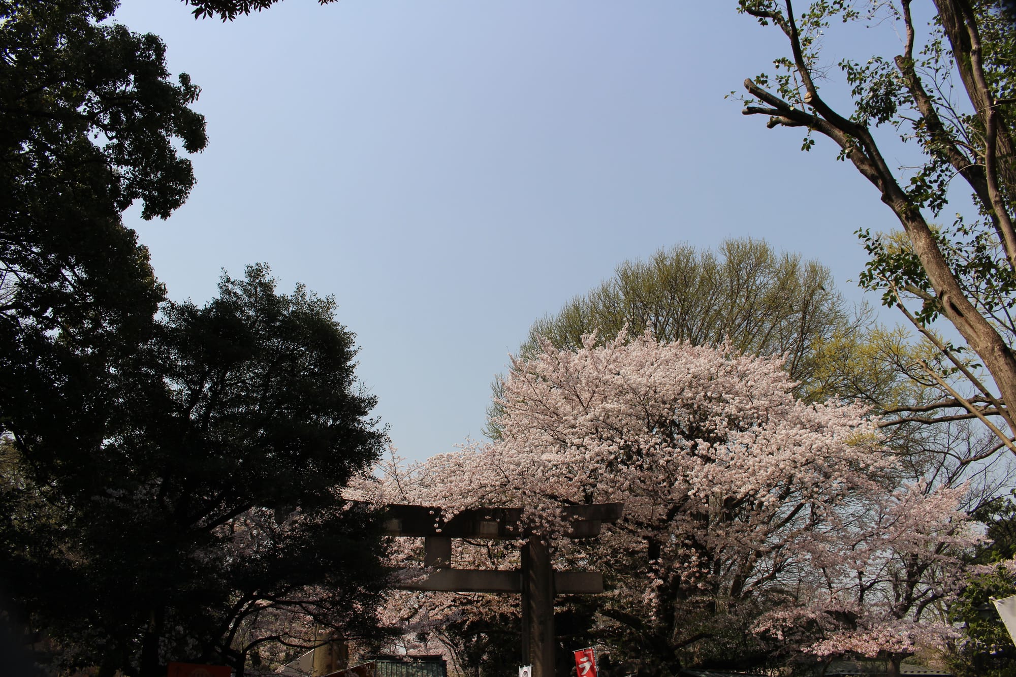 Park Ueno