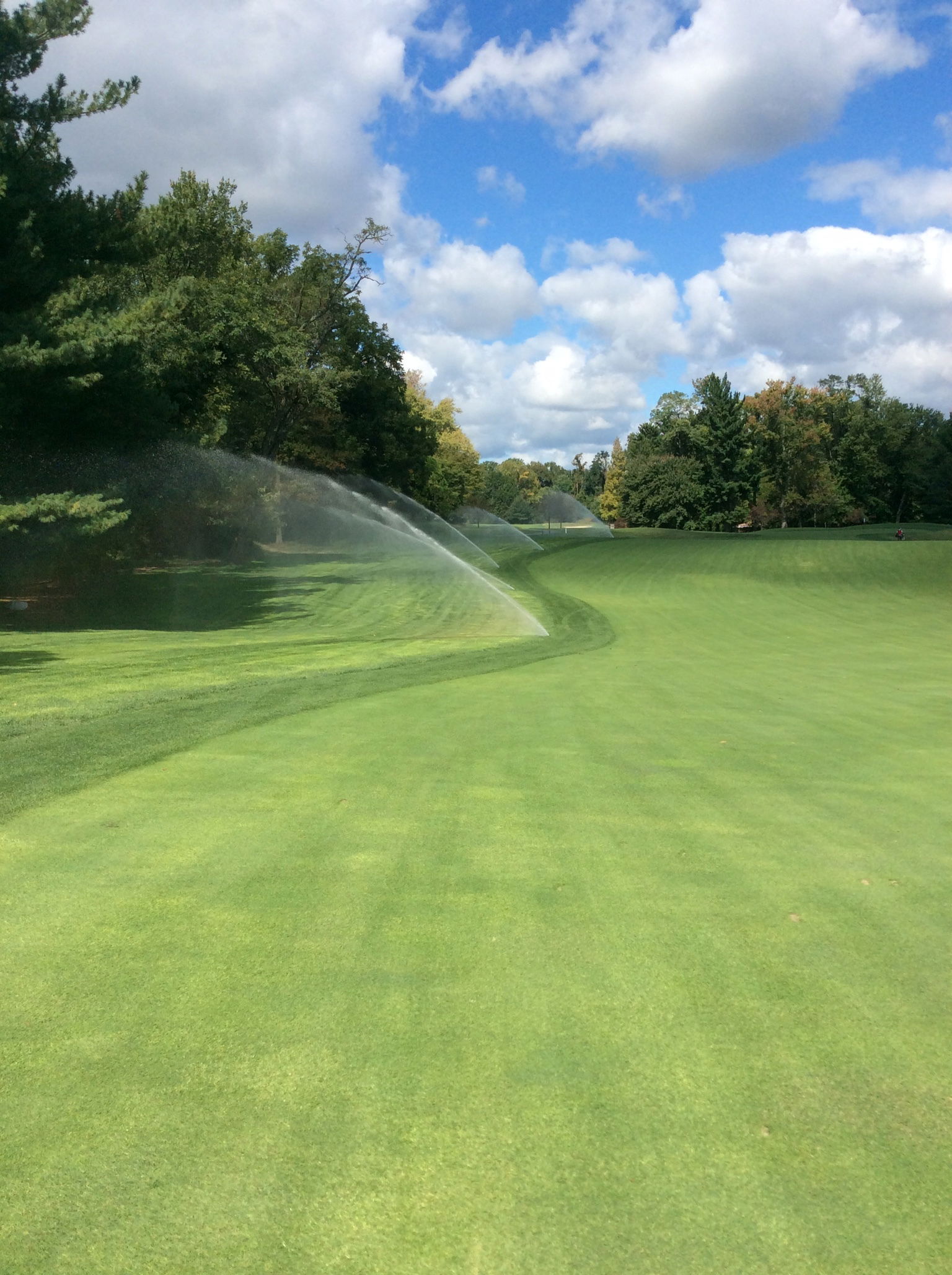 Irrigation Improvements