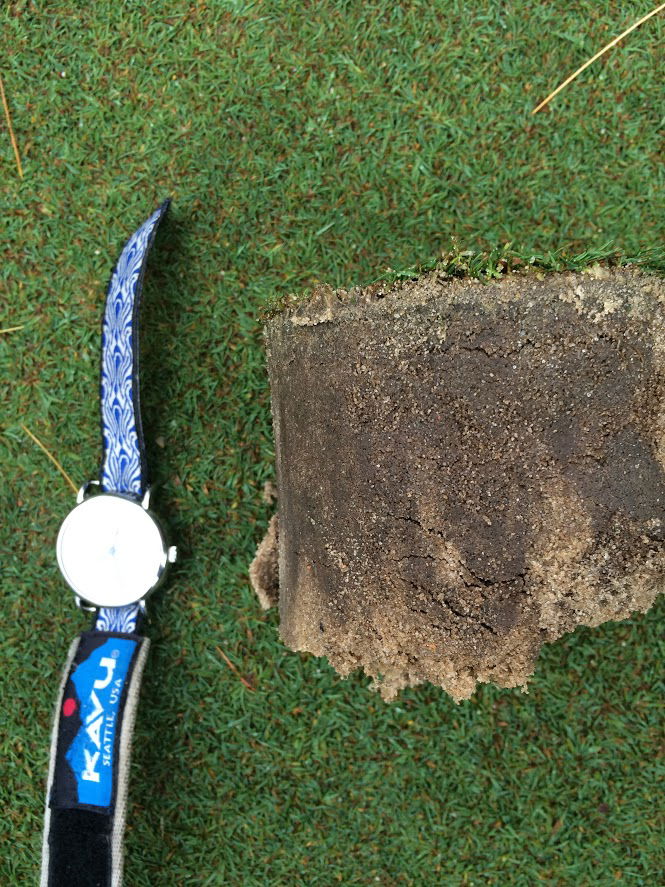 A delicate balance of removing and diluting organic matter and thatch which: