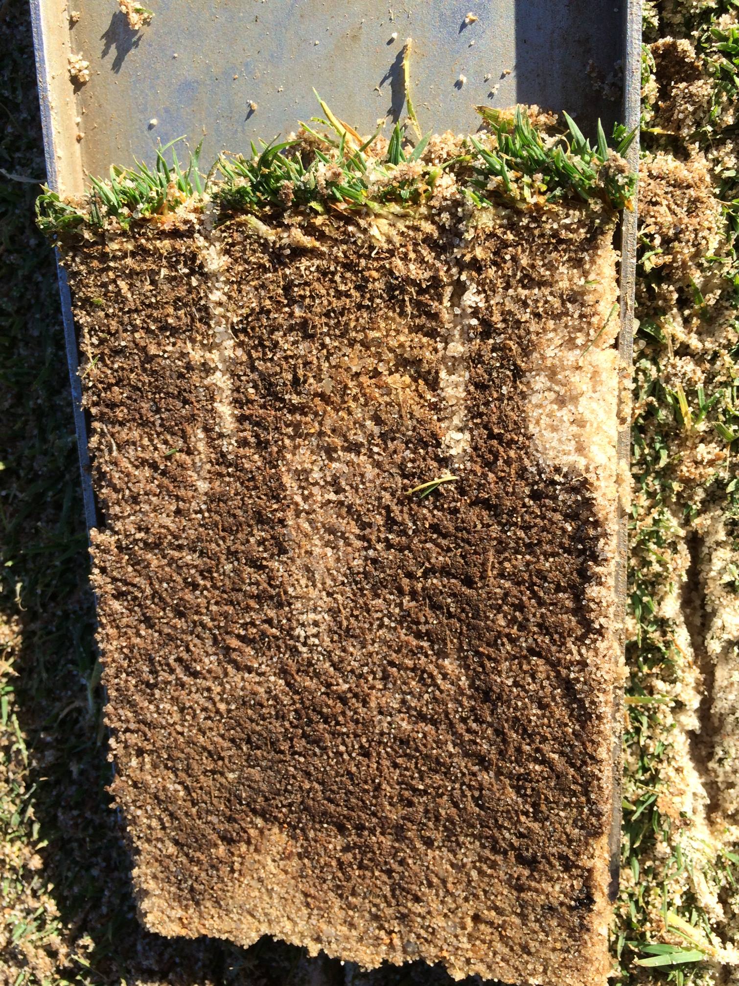 Deep Vertical Mowing with Sand Injection